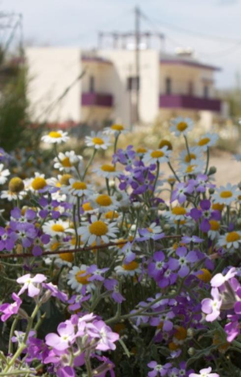 Aumkara Διαμέρισμα Σκάλα Ερεσού Εξωτερικό φωτογραφία